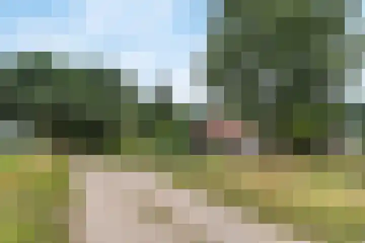 Tijsweg 1 Heeten thumbnail 72