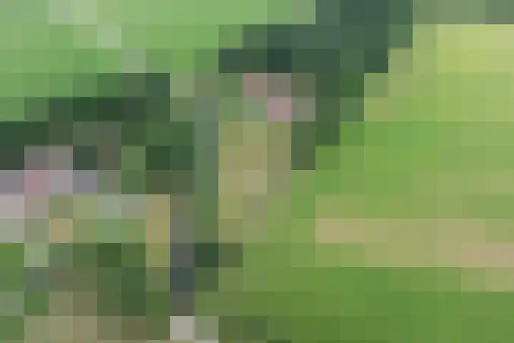 Tijsweg 1 Heeten thumbnail 73