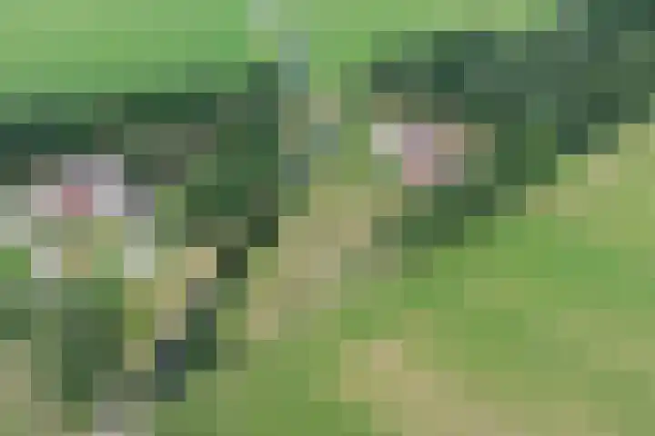 Tijsweg 1 Heeten thumbnail 74
