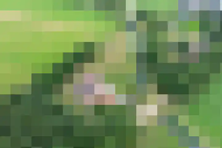 Tijsweg 1 Heeten thumbnail 75
