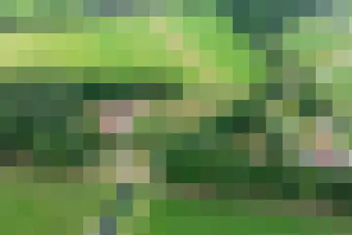 Tijsweg 1 Heeten thumbnail 76