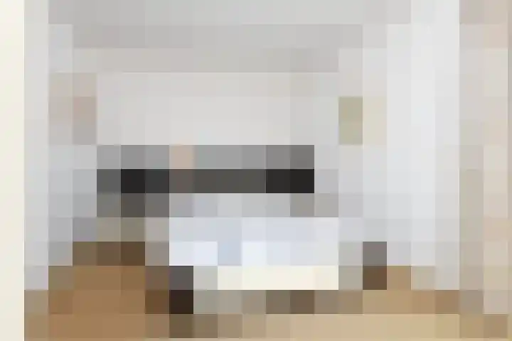 Tilanuslaan 20 Zeist thumbnail 11
