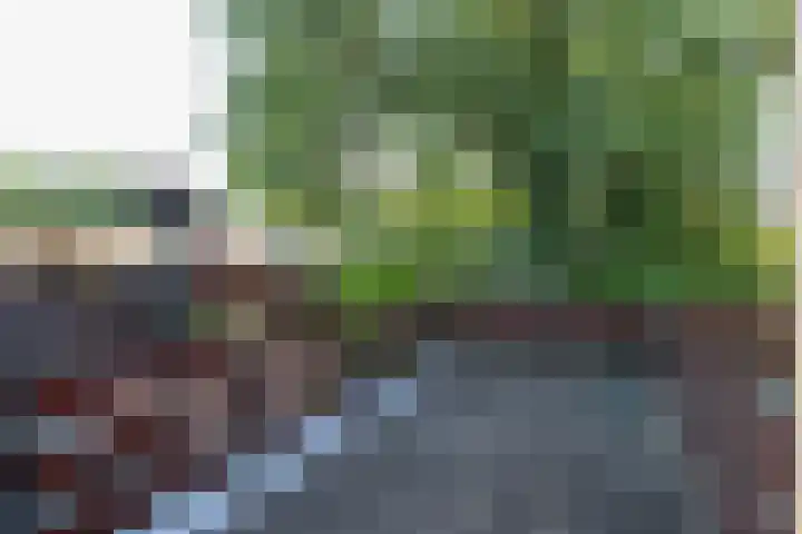 Tilanuslaan 20 Zeist thumbnail 13