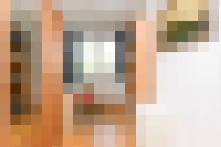 Tilanuslaan 20 Zeist thumbnail 15