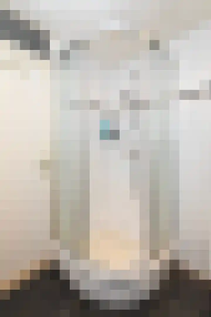 Tilanuslaan 20 Zeist thumbnail 19