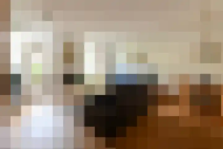 Tilanuslaan 20 Zeist thumbnail 4