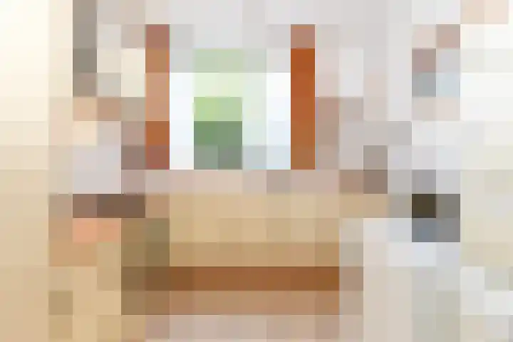 Tilanuslaan 20 Zeist thumbnail 8