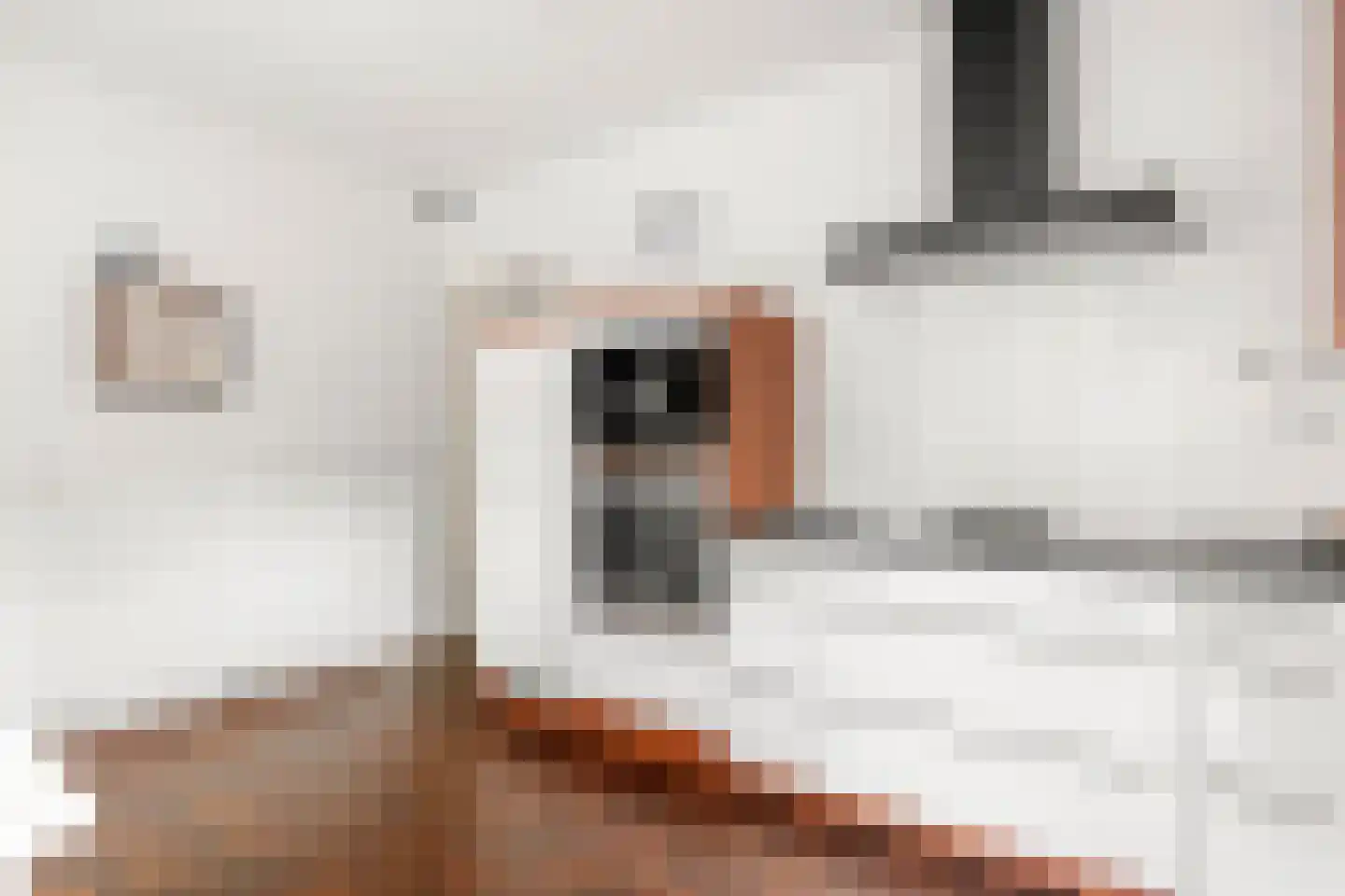 Tilanuspark 9 Ede thumbnail 12