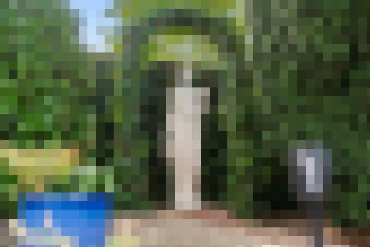 Tilanuspark 9 Ede thumbnail 35