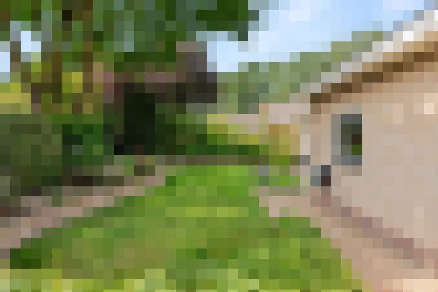 Tilanuspark 9 Ede thumbnail 40