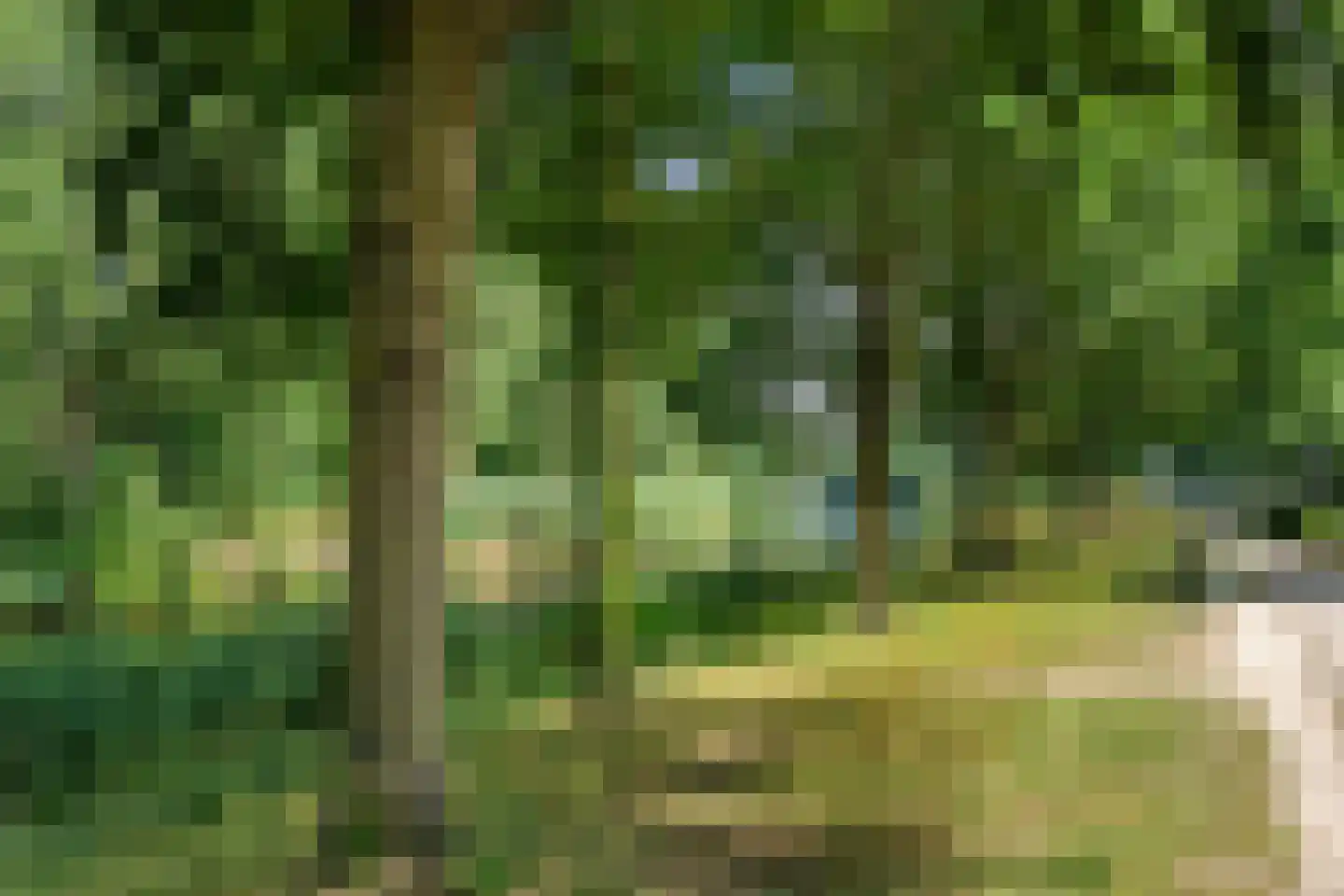Tilanuspark 9 Ede thumbnail 46