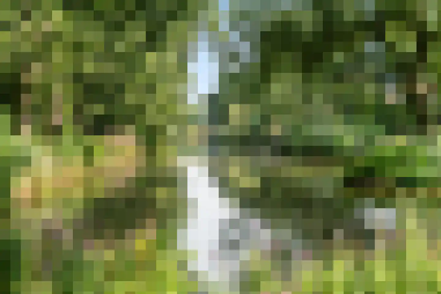 Tilanuspark 9 Ede thumbnail 48