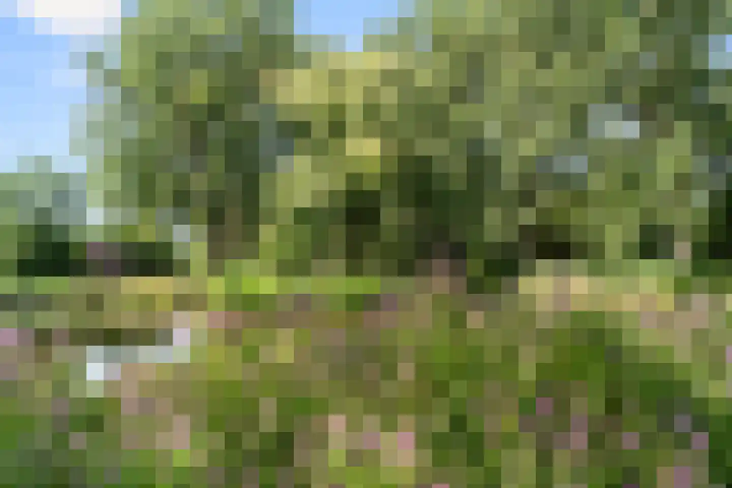 Tilanuspark 9 Ede thumbnail 49