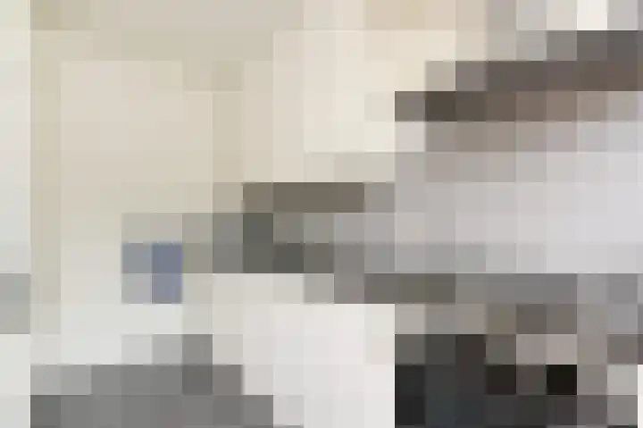 Tilanussingel 11 Pijnacker thumbnail 10