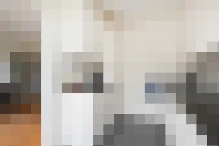 Tilanussingel 11 Pijnacker thumbnail 12