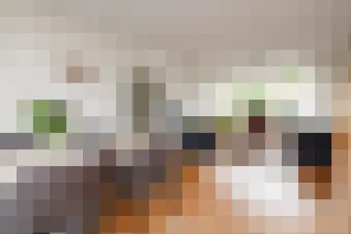 Tilanussingel 11 Pijnacker thumbnail 13