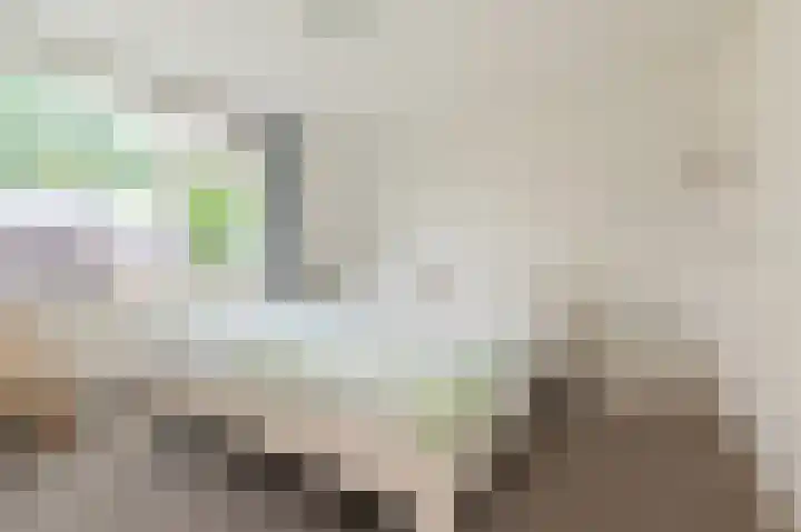 Tilanussingel 11 Pijnacker thumbnail 17