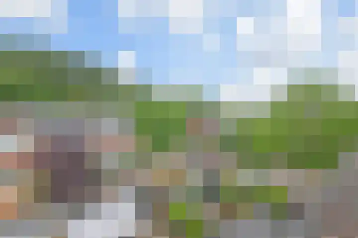 Tilanussingel 11 Pijnacker thumbnail 27