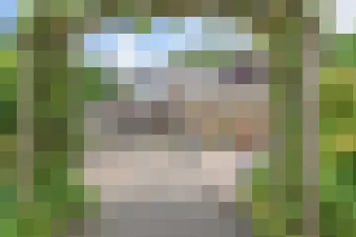 Tilanussingel 11 Pijnacker thumbnail 31