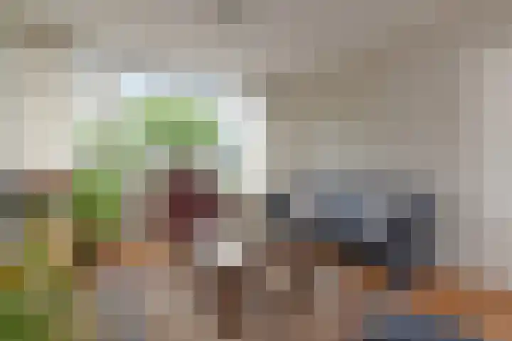 Tilanussingel 11 Pijnacker thumbnail 7