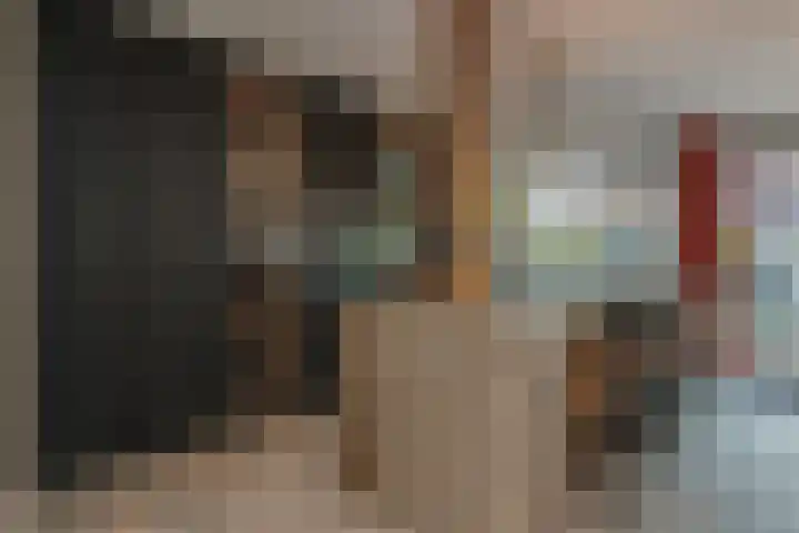 Tilanussingel 13 Pijnacker thumbnail 11