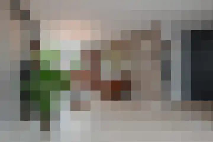 Tilanussingel 13 Pijnacker thumbnail 14