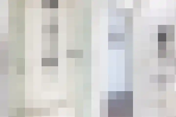 Tilanussingel 13 Pijnacker thumbnail 15