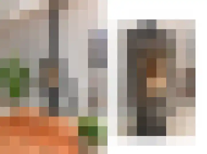 Tilanussingel 13 Pijnacker thumbnail 15