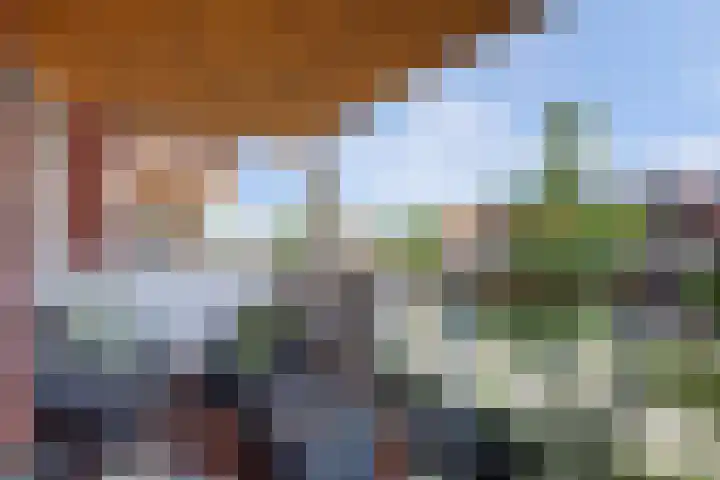 Tilanussingel 13 Pijnacker thumbnail 16