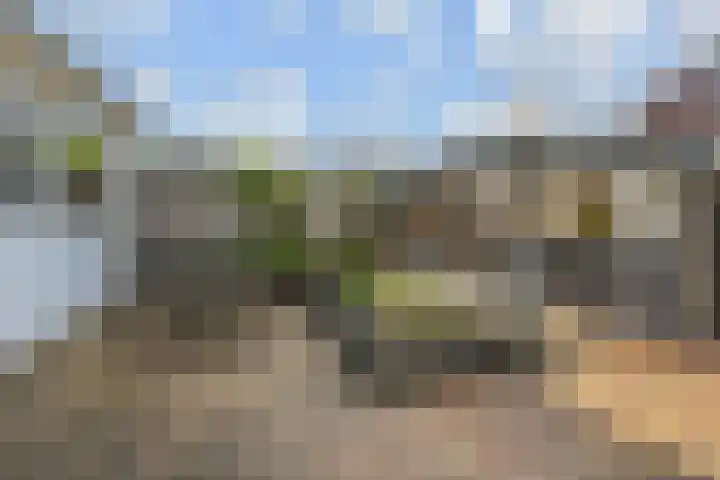 Tilanussingel 13 Pijnacker thumbnail 18