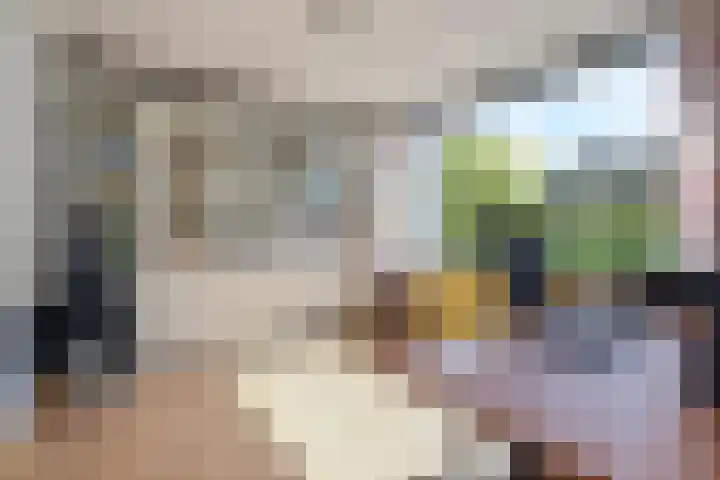 Tilanussingel 13 Pijnacker thumbnail 23