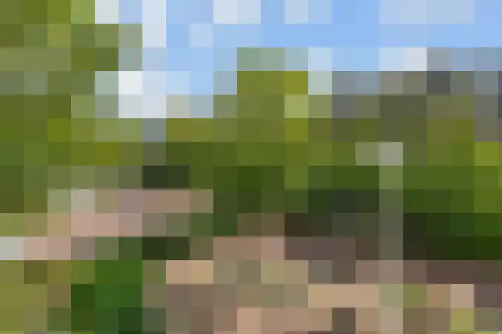 Tilanussingel 13 Pijnacker thumbnail 31