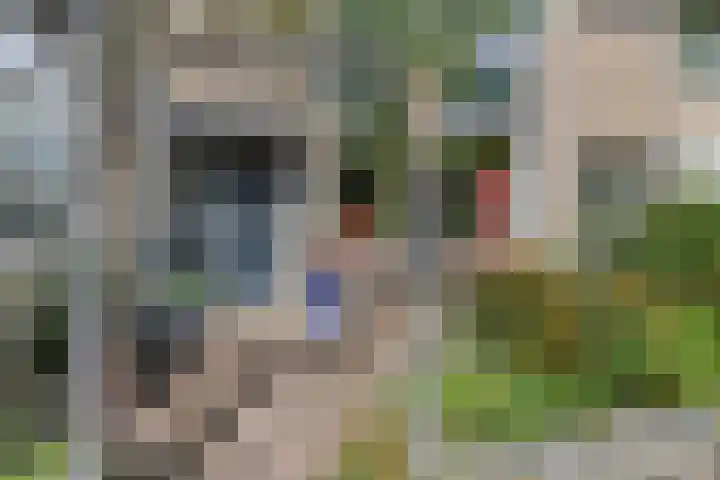 Tilanussingel 13 Pijnacker thumbnail 32