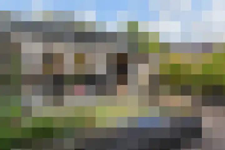 Tilanussingel 13 Pijnacker thumbnail 4