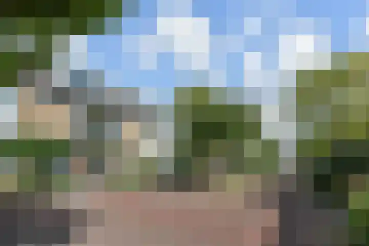 Tilanussingel 13 Pijnacker thumbnail 5