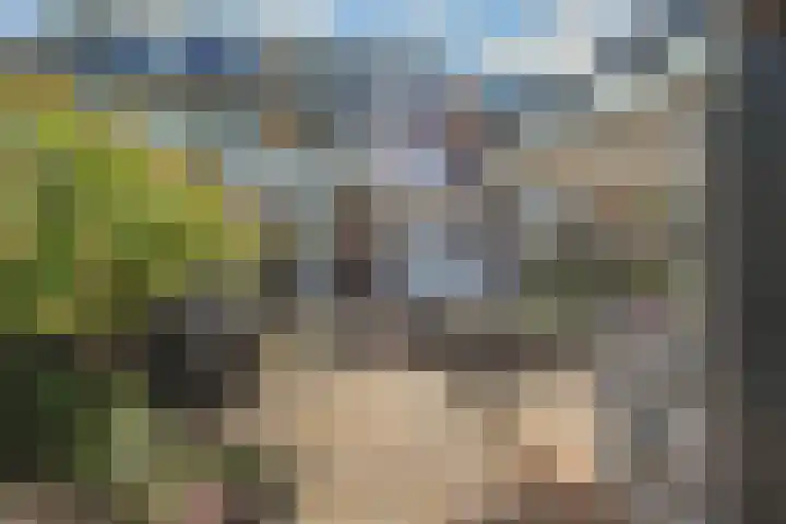 Tilanussingel 13 Pijnacker thumbnail 6