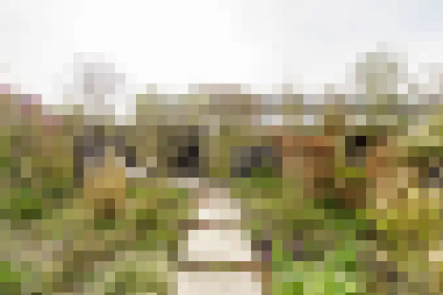 Tilanussingel 3 Pijnacker thumbnail 10