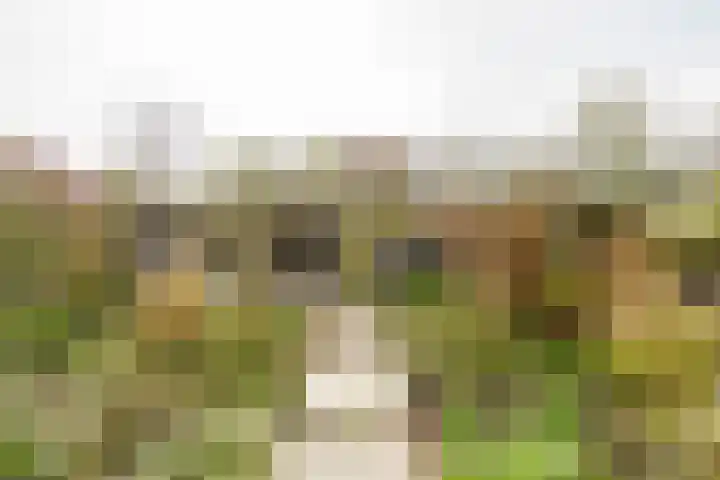 Tilanussingel 3 Pijnacker thumbnail 10