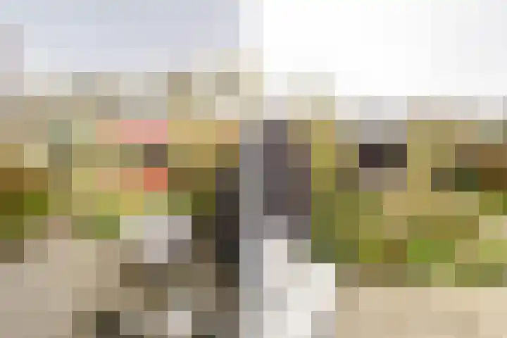 Tilanussingel 3 Pijnacker thumbnail 11