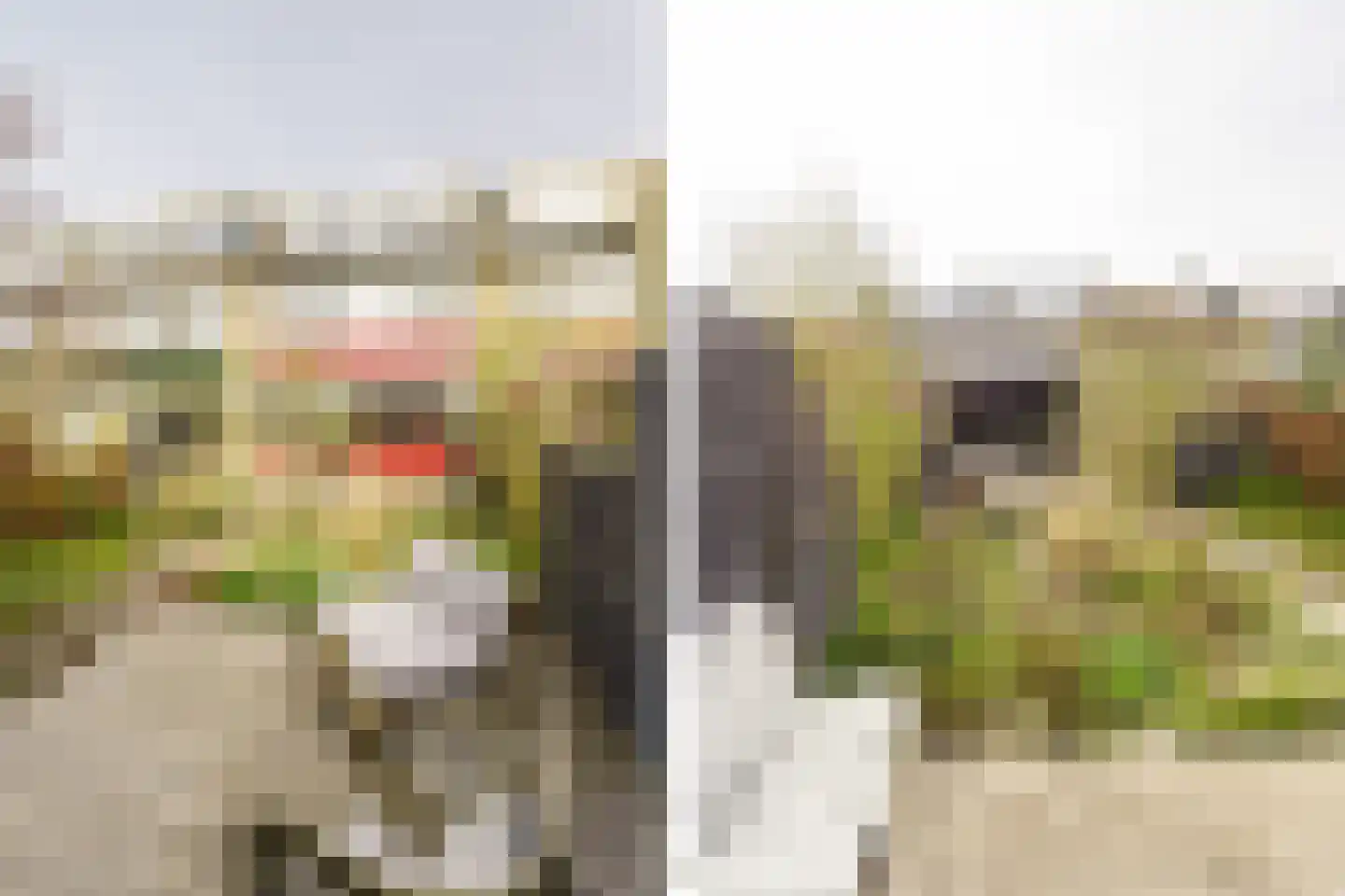Tilanussingel 3 Pijnacker thumbnail 11