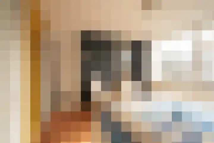 Tilanussingel 3 Pijnacker thumbnail 16
