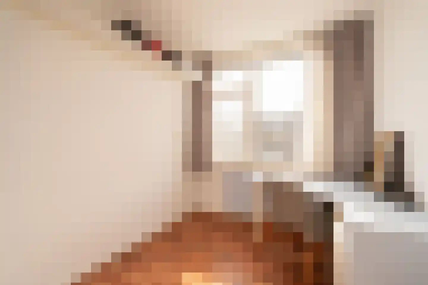 Tilanussingel 3 Pijnacker thumbnail 17