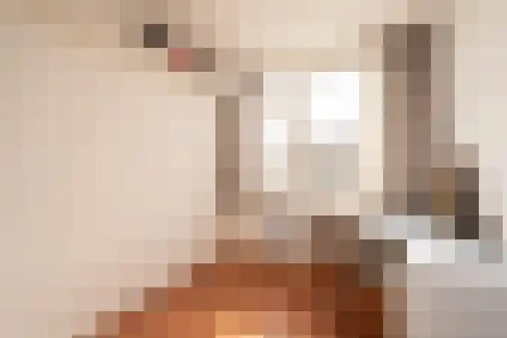 Tilanussingel 3 Pijnacker thumbnail 17