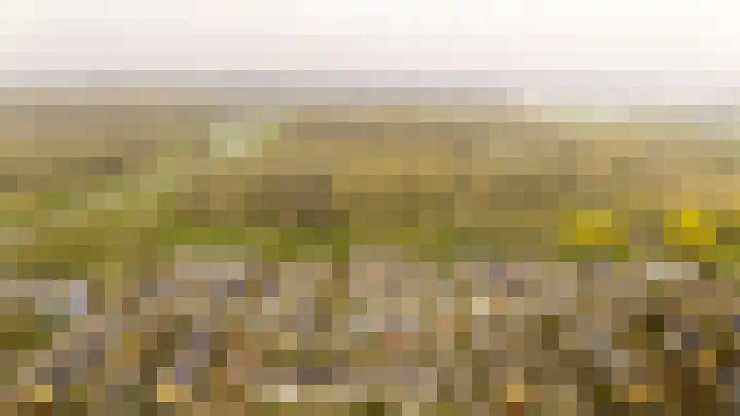 Tilanussingel 3 Pijnacker thumbnail 25