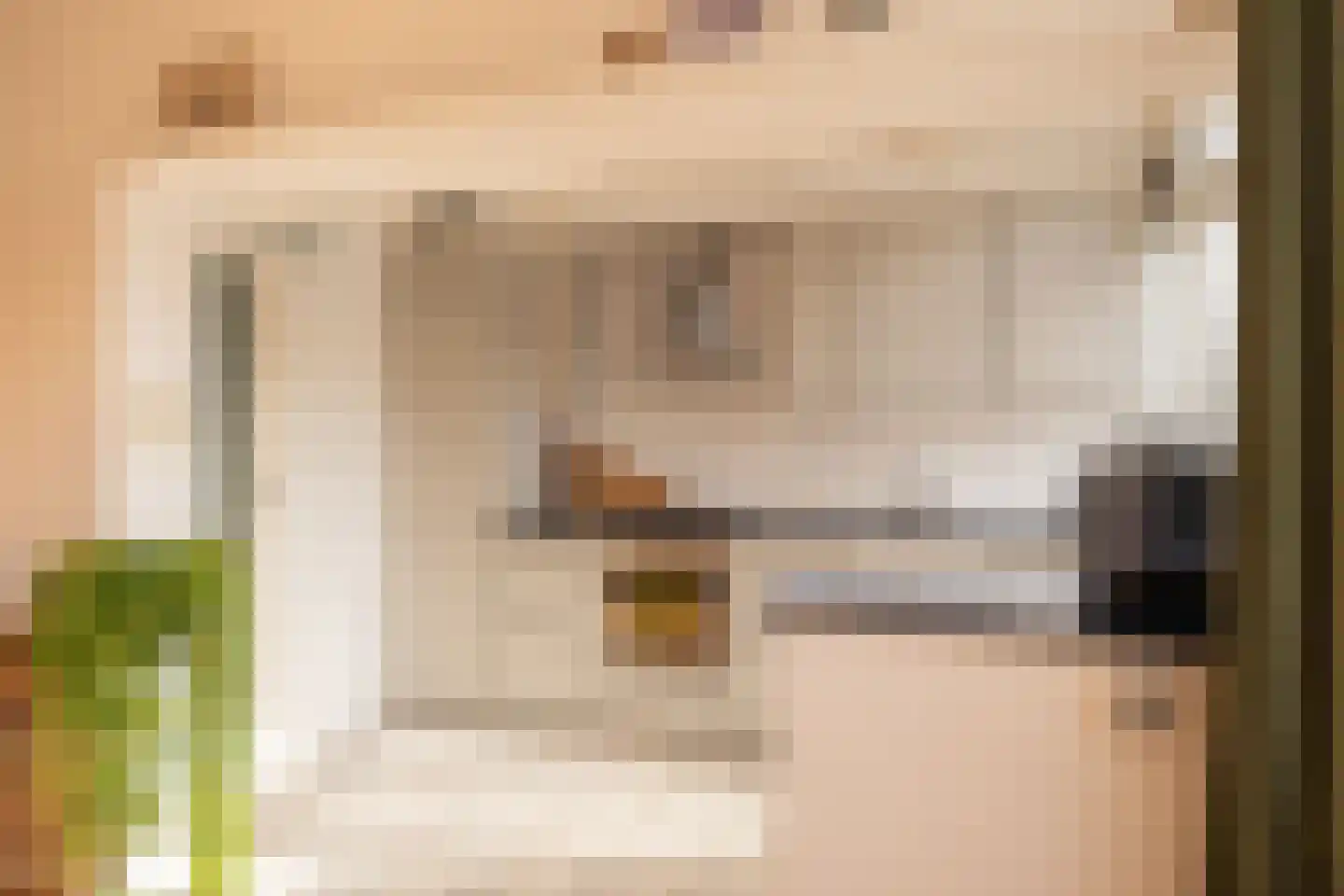 Tilanussingel 3 Pijnacker thumbnail 8