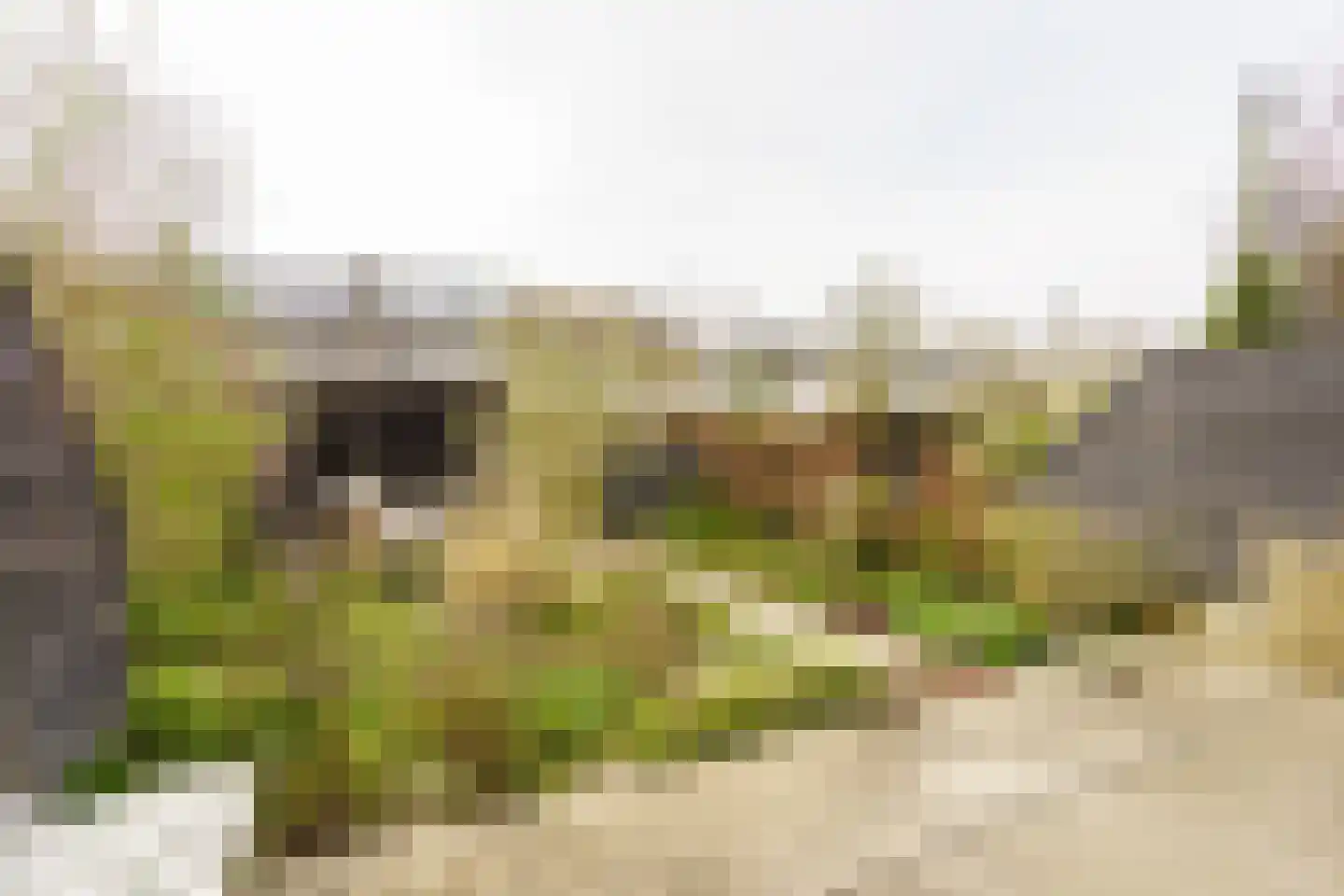 Tilanussingel 3 Pijnacker thumbnail 9