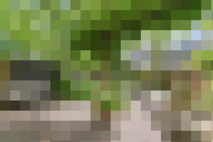 Tilanussingel 5 Pijnacker thumbnail 11