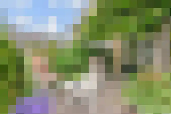 Tilanussingel 5 Pijnacker thumbnail 12