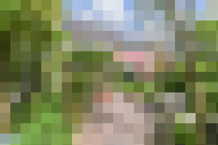 Tilanussingel 5 Pijnacker thumbnail 15