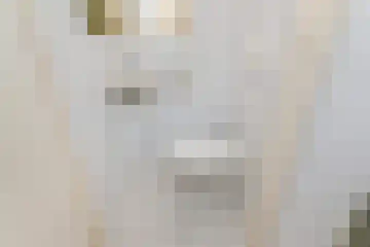 Tilanussingel 5 Pijnacker thumbnail 22